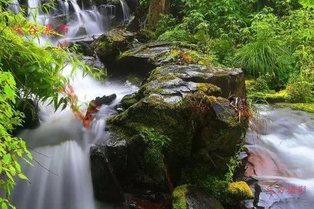 发现惊艳的冷知识 | 水稻齐穗需要晾田几天? - 分享平台